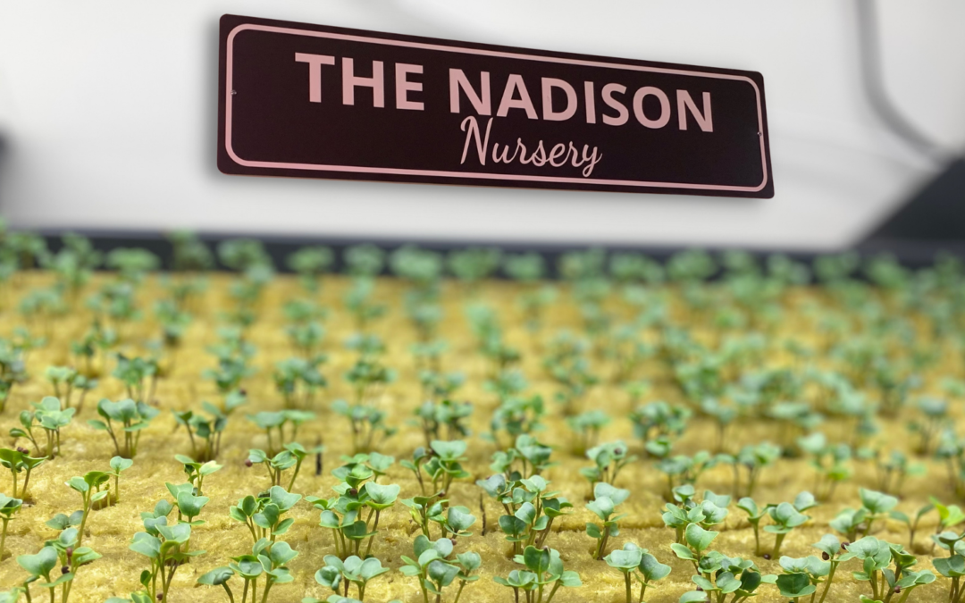 The Nadison Nursery Is Now Official